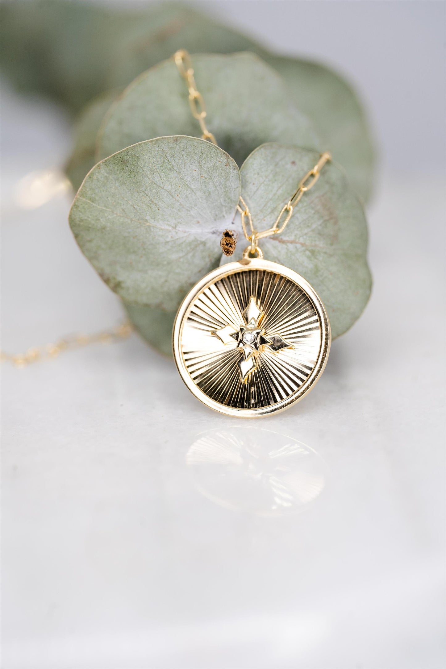 14K Yellow Gold Paperclip Chain Medallion Necklace