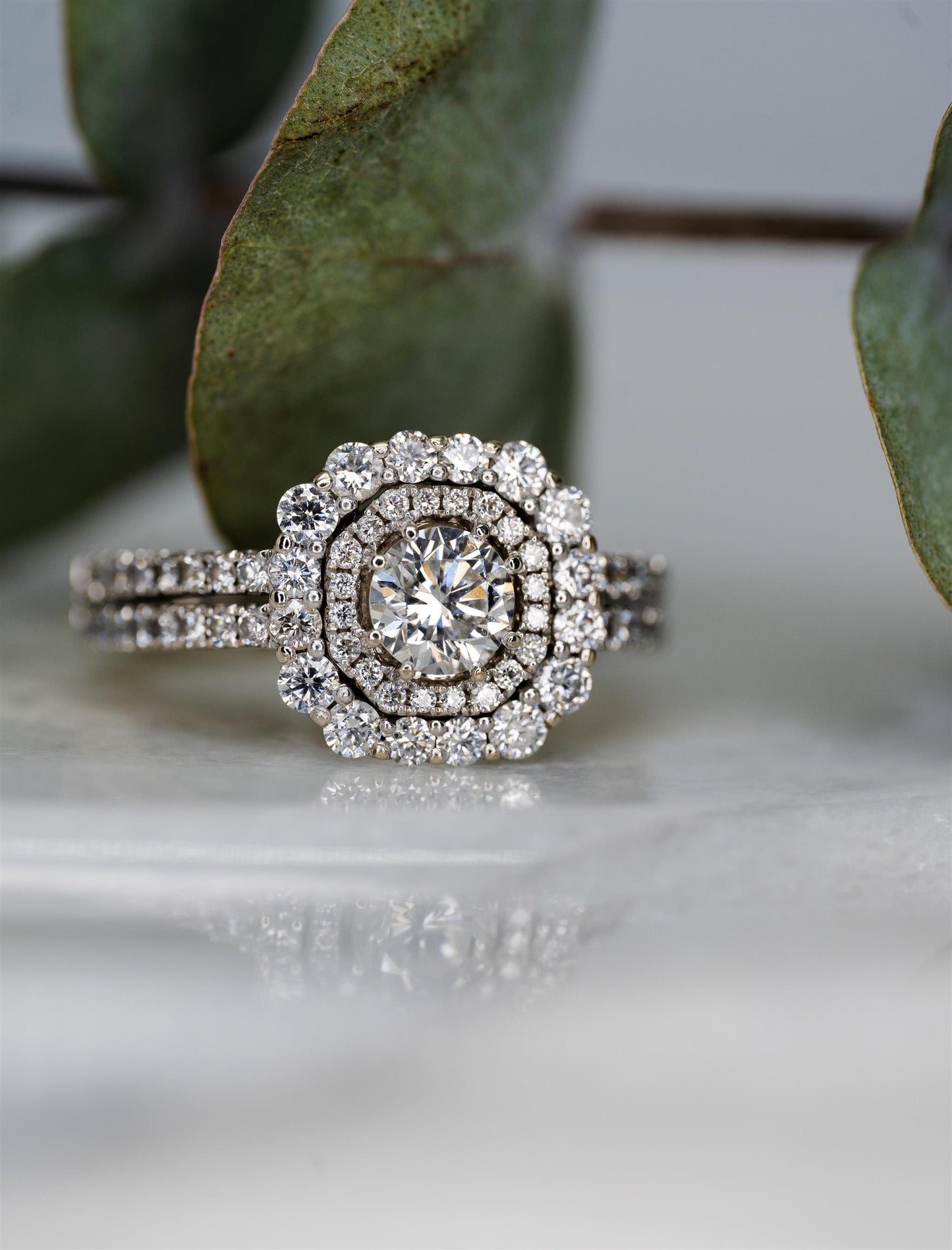Double Halo Diamond Ring in 14K White Gold